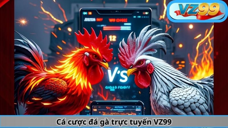 Cá cược đá gà trực tuyến VZ99