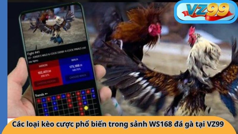 Các loại kèo cược phổ biến trong sảnh WS168 đá gà tại VZ99