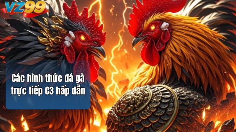 Các hình thức đá gà trực tiếp C3 hấp dẫn