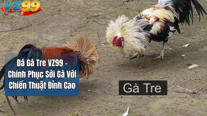 Đá Gà Tre VZ99 – Chinh Phục Sới Gà Với Chiến Thuật Đỉnh Cao